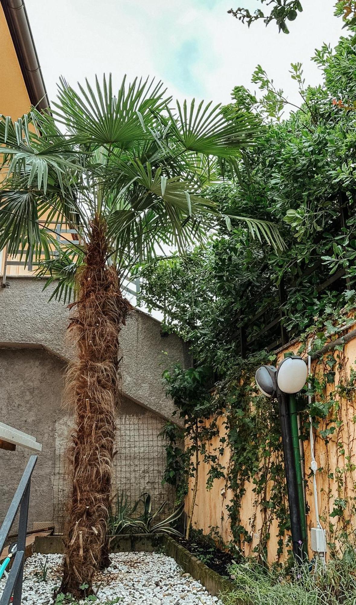 Apartman Jelena Opatija
